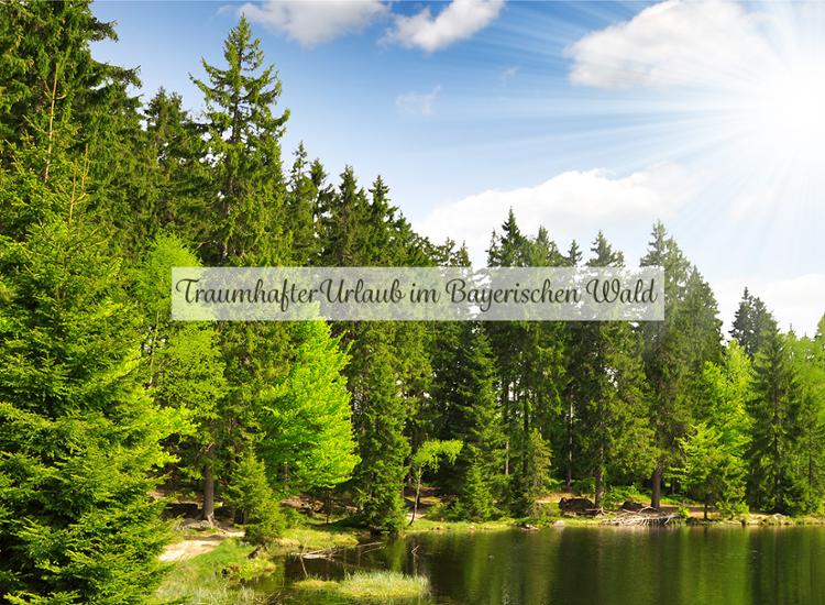 7 Nächte Kurzurlaub in Bayern - Multigutschein für 6 Ferien-Hotels